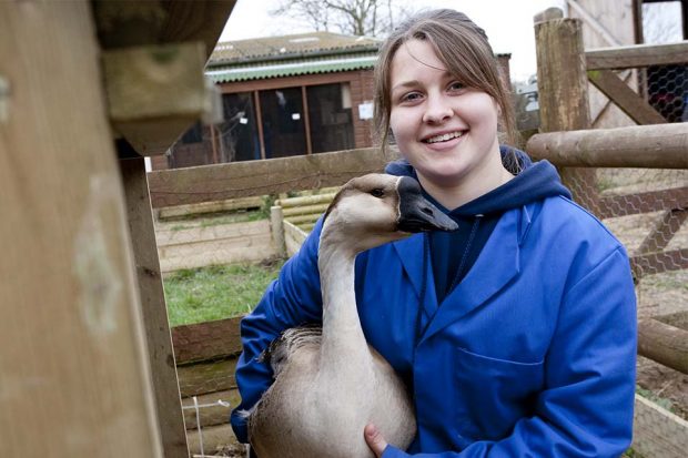 Photo of a girl holding a goose. Seriously.