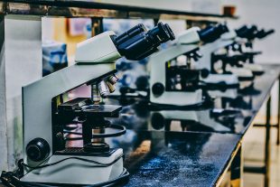 Four microscopes on a work bench.